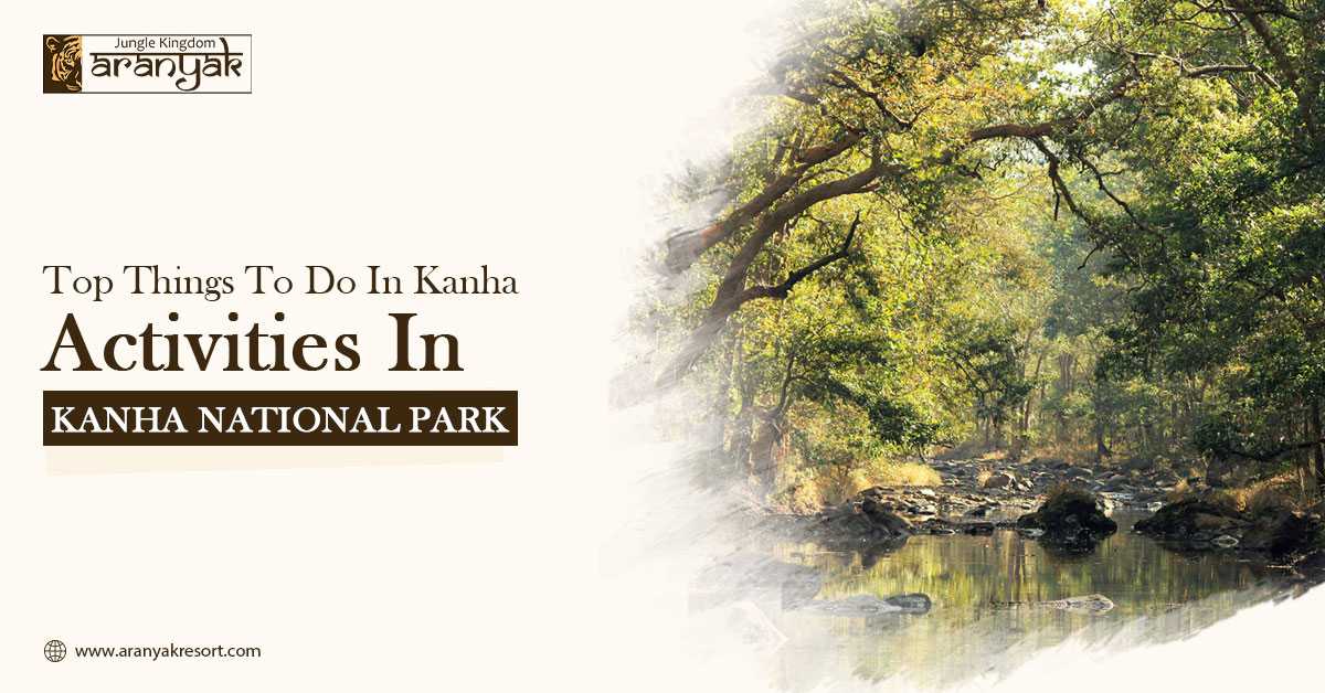 Top Things To Do In Kanha | Activities in Kanha National Park